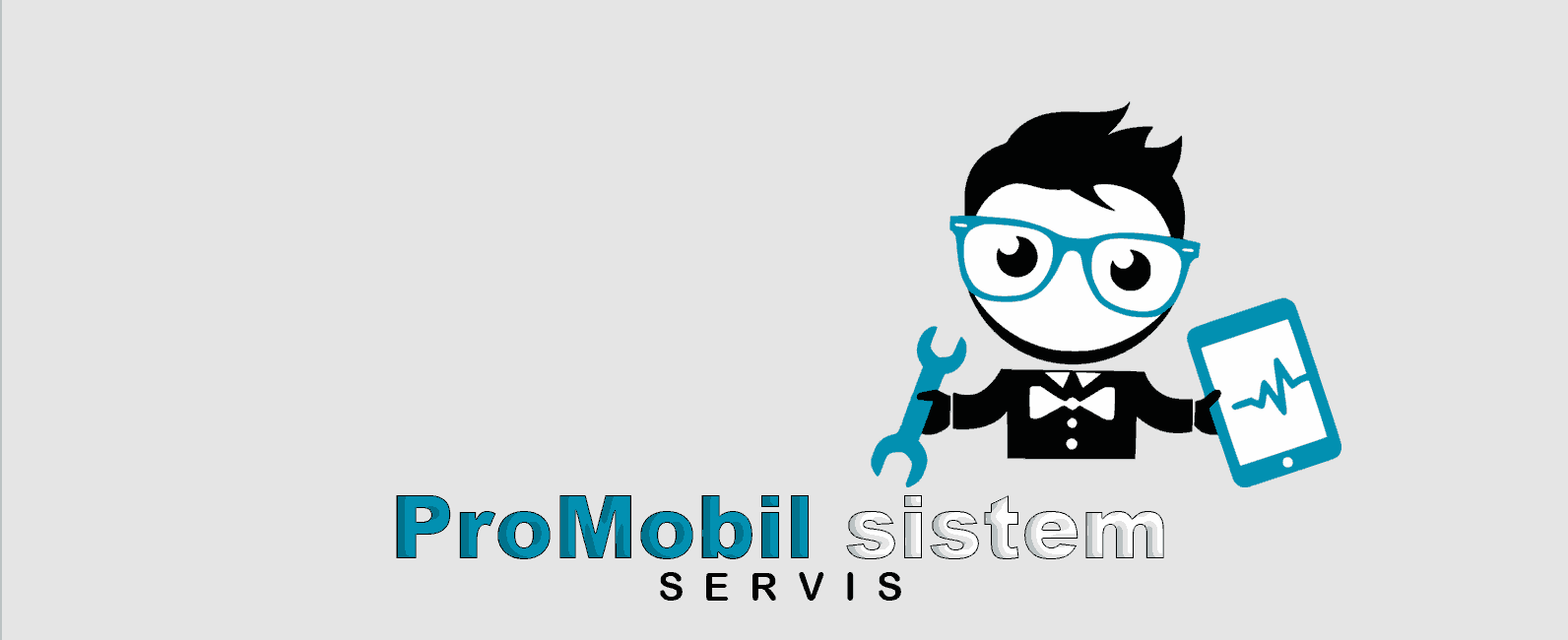 ProMobil sistem Servis - Novi Sad